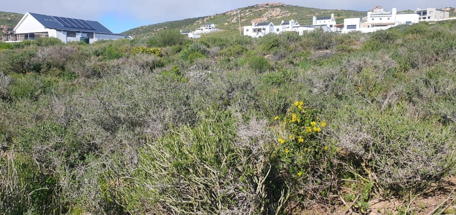 0 Bedroom Property for Sale in Steenbergs Cove Western Cape